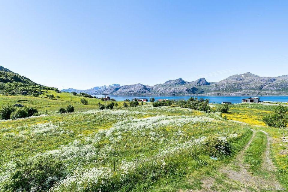 Vevika Lofoten Villa Gravdal  Buitenkant foto